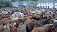 Esta es la feria más antigua de Galicia que ha sobrevivido casi nueve siglos sin perder su magia