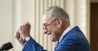Cuellar: Schumer 'Needs to Show Something to the Base'
