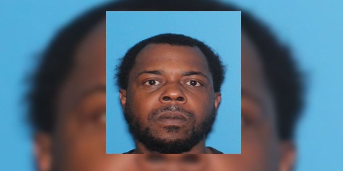 Man arrested after Hernando shooting