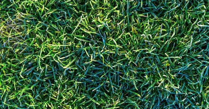 Frost for parts of Minnesota Wednesday morning before temps recover