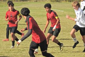 Beavers control Panthers in district tourney elimination game