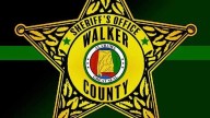 Walker County chief deputy charged with providing false information