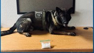 Milam County K9 Deputy finds suspected methamphetamine during traffic stop