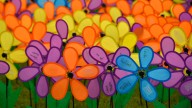 Join the fight against Alzheimer’s at Monroe’s annual walk