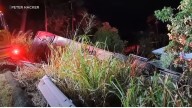 22 hurt when bus rolls off Hawaii’s Mamalahoa Highway, slides down embankment