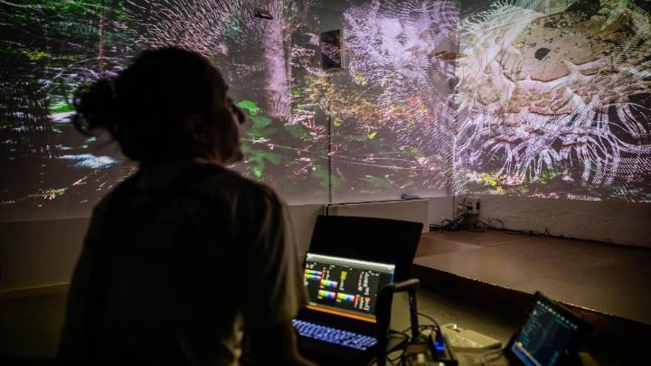 Arte digital inmersivo entre árboles y raíces: Cabrils acoge la primera edición de 'Sottobosco'