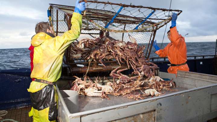 'Deadliest Catch' Season 22: Premiere Date, Cast, Trailer, and More Updates