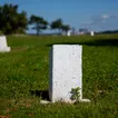 Families press for greater say in the future of NYC's public cemetery on Hart Island