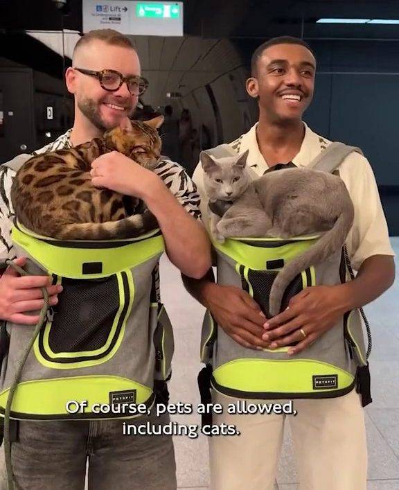 ‘Don’t take cats on the tube’ warns charity after ‘shocking’ video released
