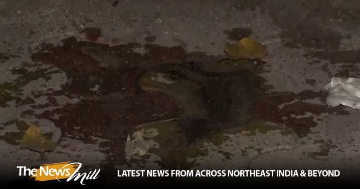 “Incident happened outside college campus”: Laxmi Bai College Proctor on acid attack over 20