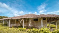 La finca San Pedro, en Córdoba, antiguo enclave de los Castaño, pasará a manos de campesinos