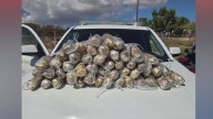 Border Patrol agents seize 52 lbs. of meth hidden in tire