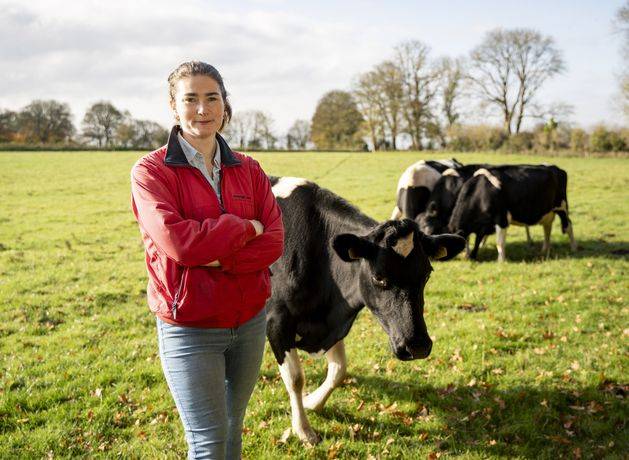 How should I spend my surplus cash? A Maria Steen handbag or a new cow? Or renewable energy?