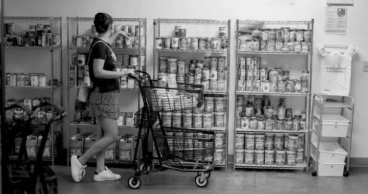 How to Help SNAP Benefit Recipients