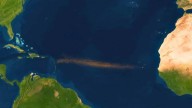 This 8,850-km ‘Brown Monster’ Has Been Growing From Africa To Mexico For 15 Years!