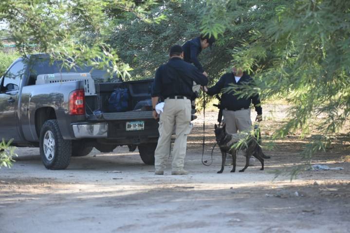 Localizan cráneo humano en zona rural del Ejido Puebla