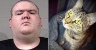 Wichita police arrest man accused of sexually assaulting a cat