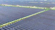 Trump effect weighs on global green energy growth