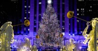 Rockefeller Center reveals this year's Christmas Tree selection