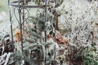 NWS forecasters issue Freeze Warning for tonight