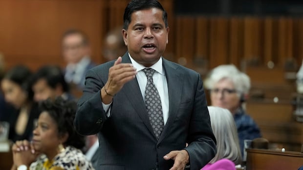 Government to table new border bill amid privacy concerns over C