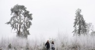 All the parts of England set for snow with nine counties at risk alongside Scotland