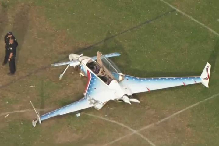 Deaf Woman Survives Being Hit by Plane While She Was Walking Dog in Long Beach