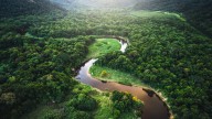 Descubren una montaña en el Amazonas que revoluciona a los científicos: nadie entiende su origen