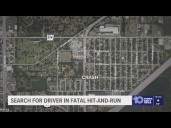 Tampa police investigating hit-and-run that left woman dead after being hit by 2 vehicles