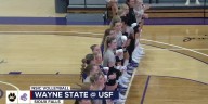 Cougars fall to Wayne State in Volleyball