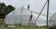 “Fairly Catastrophic”: Small Farms Struggle as Conservation Funds Are Frozen