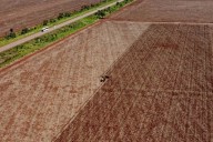 La sabana tropical de Brasil es amenazada por la lucha arancelaria entre Trump y China