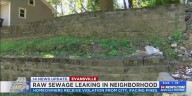 Homeowners facing fines following raw sewage leaking into neighborhood
