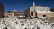Plan de China con tierras raras permite a Trump reconciliarse con aliados