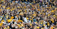 Steelers Reacts Survey Week 7