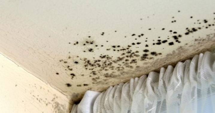 South London council mentioned 3 times in damning report about damp and mould failings