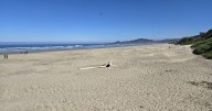 OHA asks for public help picking beaches to monitor, copes with loss of federal data
