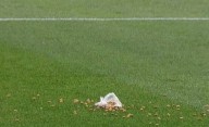 Los jugadores de Independiente festejaban un gol y sus hinchas les arrojaron ¡alimento para perros!