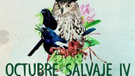 Vuelve 'Octubre Salvaje': la asociación Verdemorillo organiza la cuarta edición de esta cita para reivindicar el valor de la Naturaleza más cercana