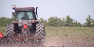 Most of New York state now under drought watch or warning