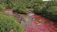 Más de 9 mil turistas han visitado Caño Cristales durante el 2023