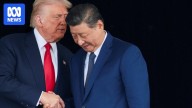 What Donald Trump and Xi Jinping discussed in their 'amazing meeting' in Busan, South Korea