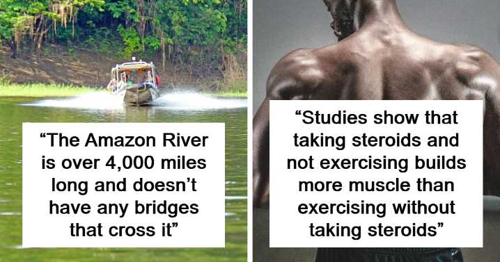 28 Interesting Facts To Intrigue The Ever