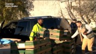 Miles of cars wait in line at weekend Pawtucket food donation event