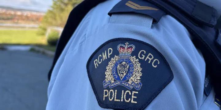 Mounties Investigating After Cut Tree Falls on SUV Driving Near Milltown
