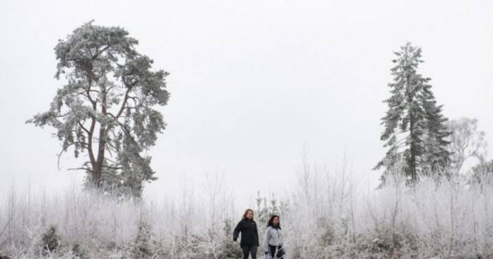 All the parts of England set for snow with nine counties at risk alongside Scotland