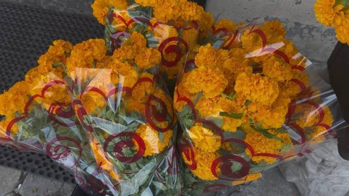 Disminuyen ventas de flor de Cempasúchil previo al día de muertos