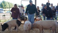 October 'Pork Month' in Kentucky, agriculture commissioner proclaims