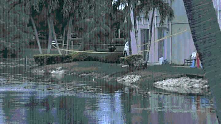 Girl drowns in pond near Oakland Park apartment complex: BSO