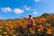 El Gobierno de Texcoco impulsa rutas para que productores comercialicen la flor de cempasúchil